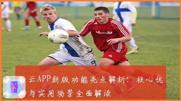 开云APP新版功能亮点解析：核心优势与实用场景全面解读